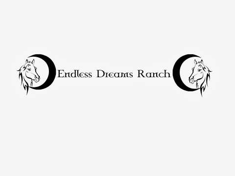 Jobs in Endless Dreams Ranch - reviews